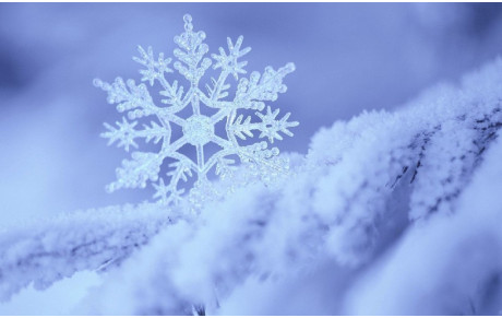 Neige,... fermeture plaine Delaune